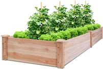 Spruce Up Your Yard with a Raised Bed Garden 202//136
